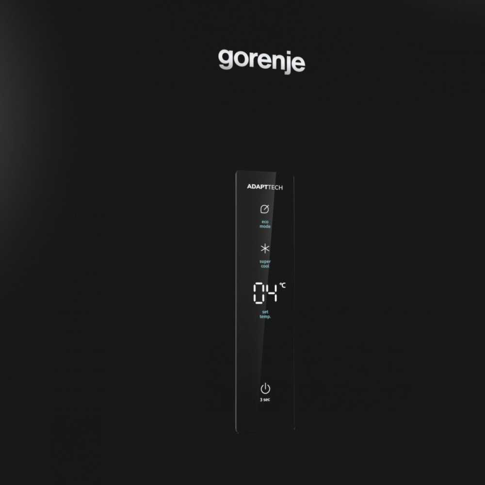 Šaldytuvas Gorenje R619EABK6
