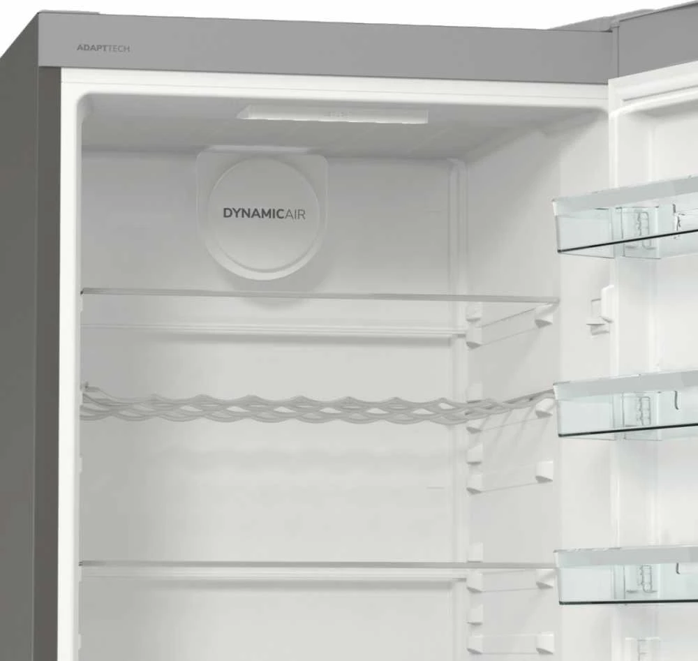 Šaldytuvas Gorenje R619EAXL6