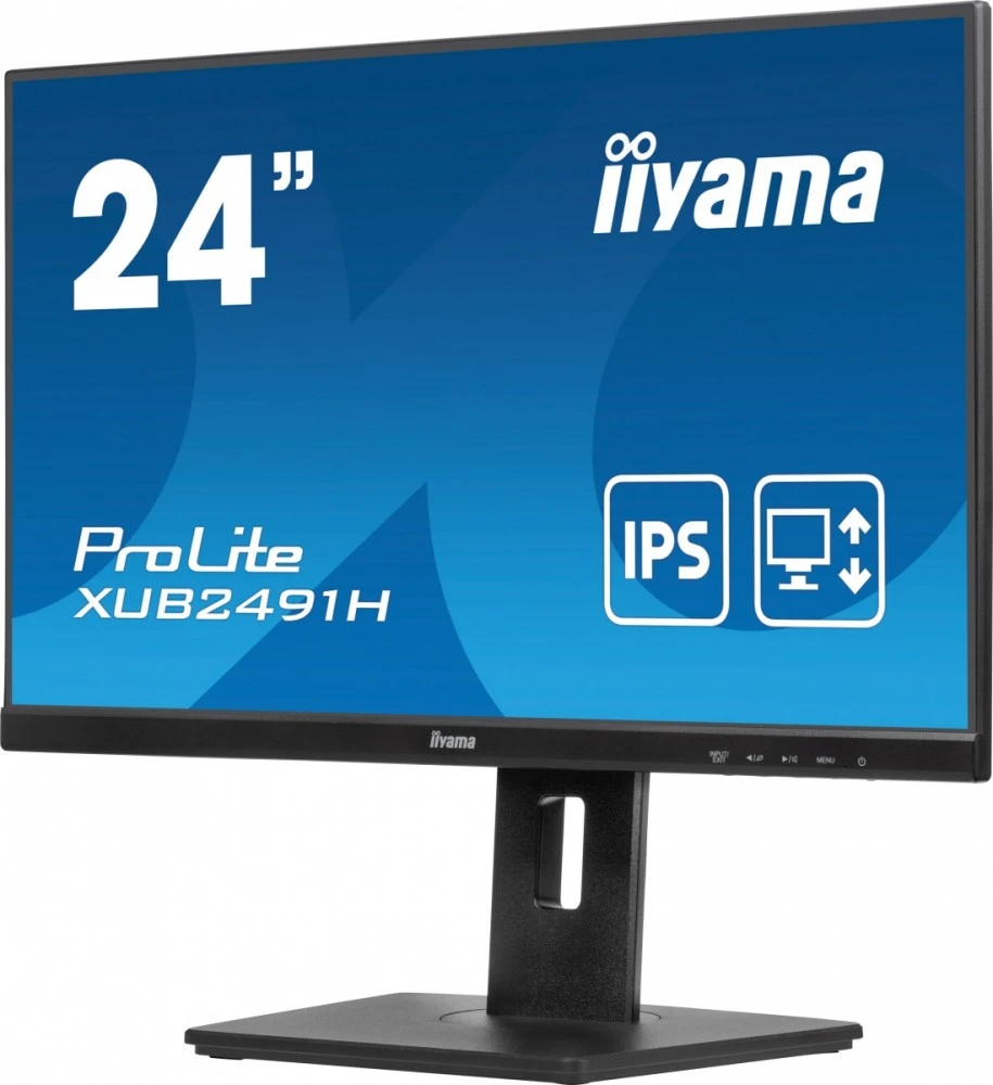 Monitorius iiyama ProLite X2491H-B1 23.8" Full HD 120Hz IPS