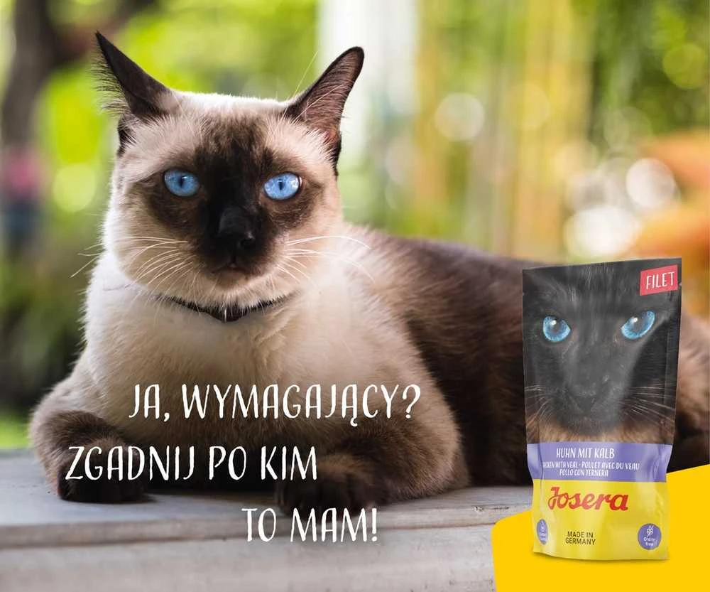 Kačių Maistas - JOSERA Vištienos Filė su Veršiena Drėgnas Maistas 70g Be Glitimo