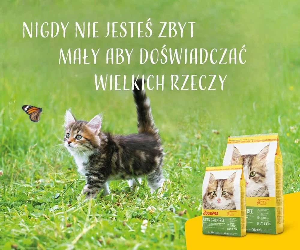 Josera kitten grainfree - sausas kačių maistas - 2kg