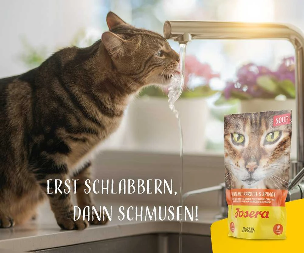 Šlapias kačių maistas Josera, 0.07 kg