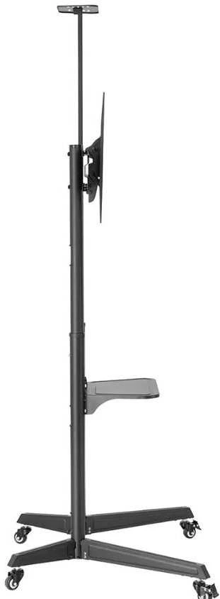 Laikiklis Neomounts Mobilus stovas fl50-550bl1