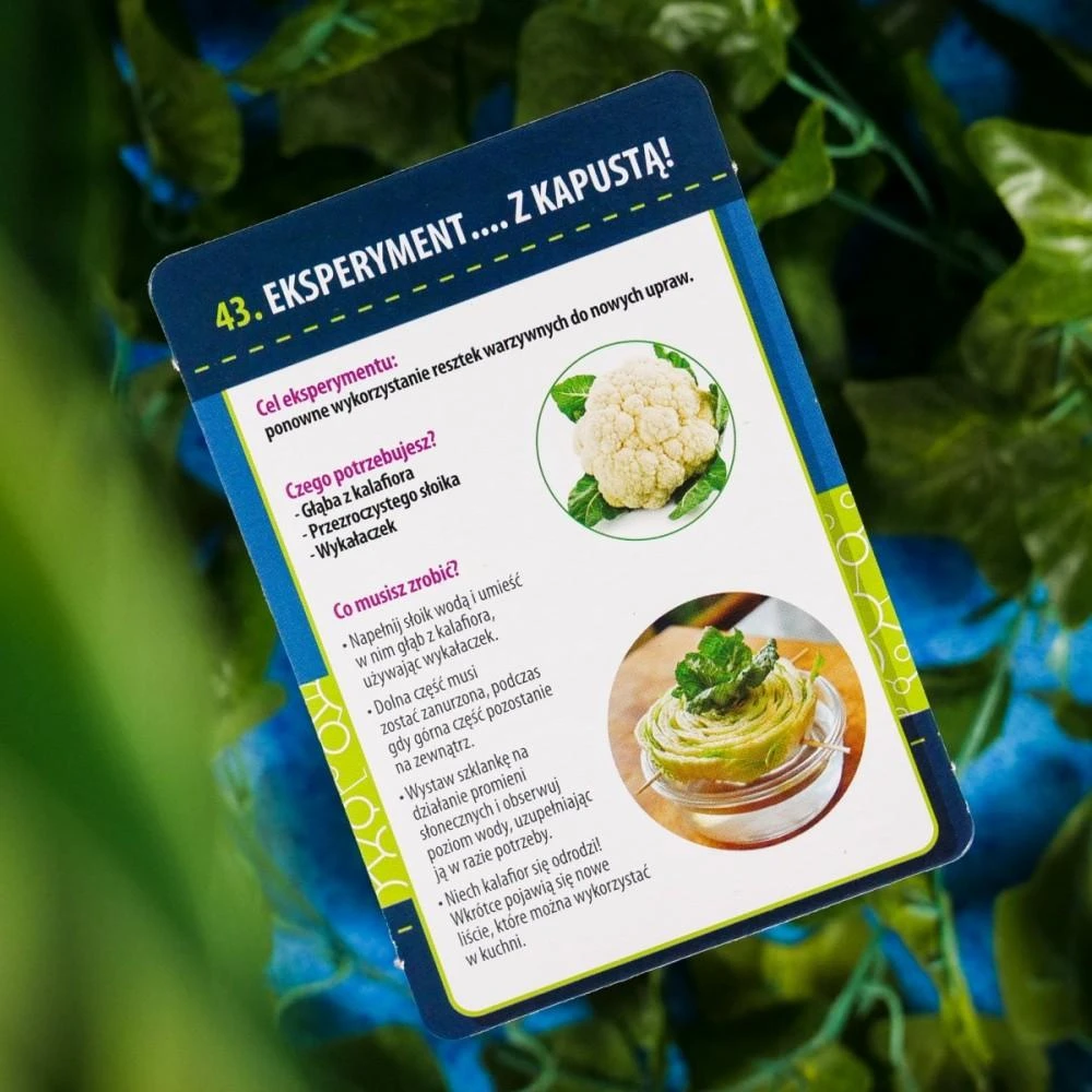 Lisciani Edukacinis žaidimas botanika namuose mažiesiems genijams