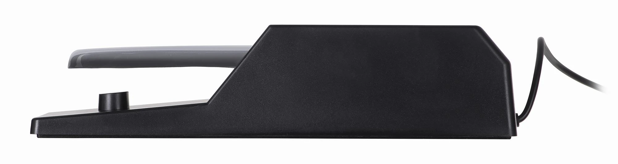 M-AUDIO SP-2 Profesionalus pianino stiliaus pedalas