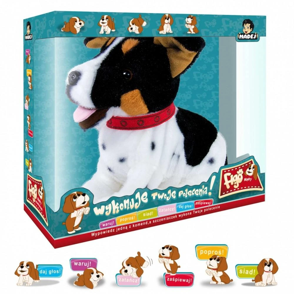 Madej Interaktyvus talismanas Figo šuo reaguoja į Jack Russell Terrier komandas