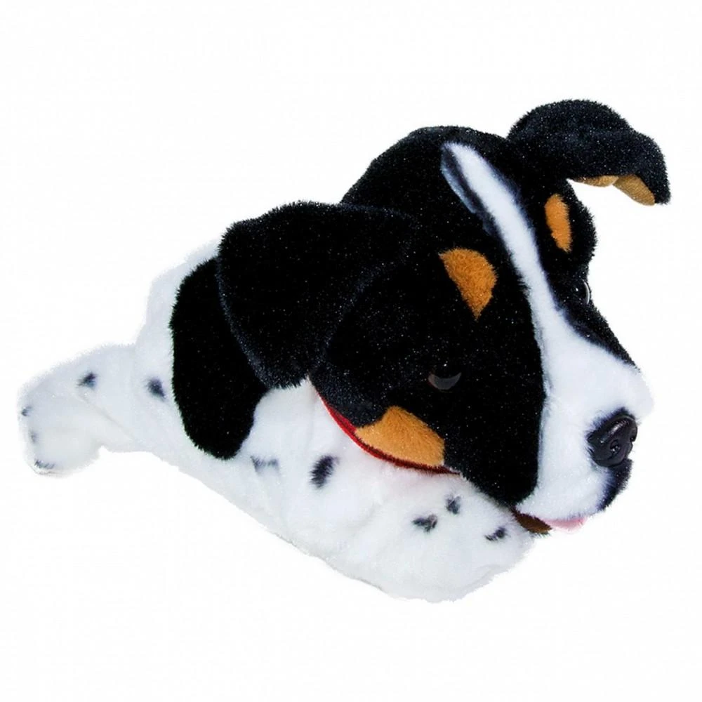 Madej Interaktyvus talismanas Figo šuo reaguoja į Jack Russell Terrier komandas
