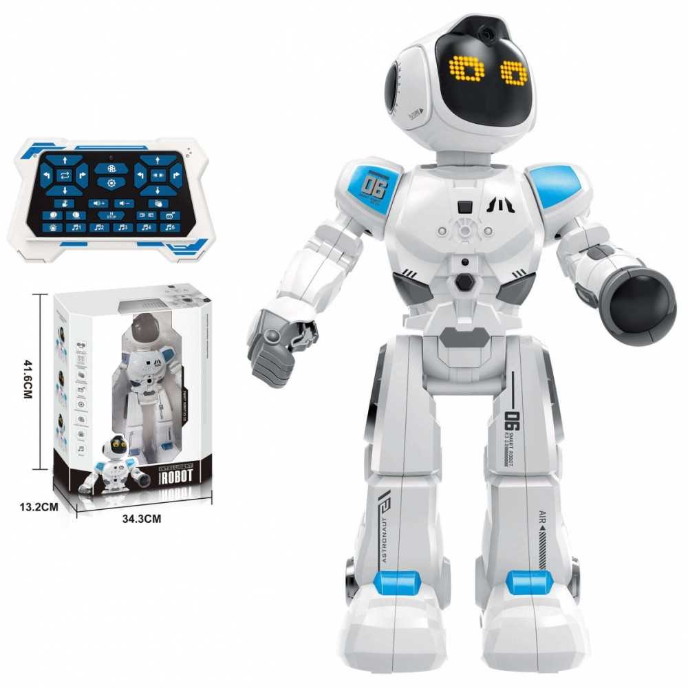 Madej Robot r/c