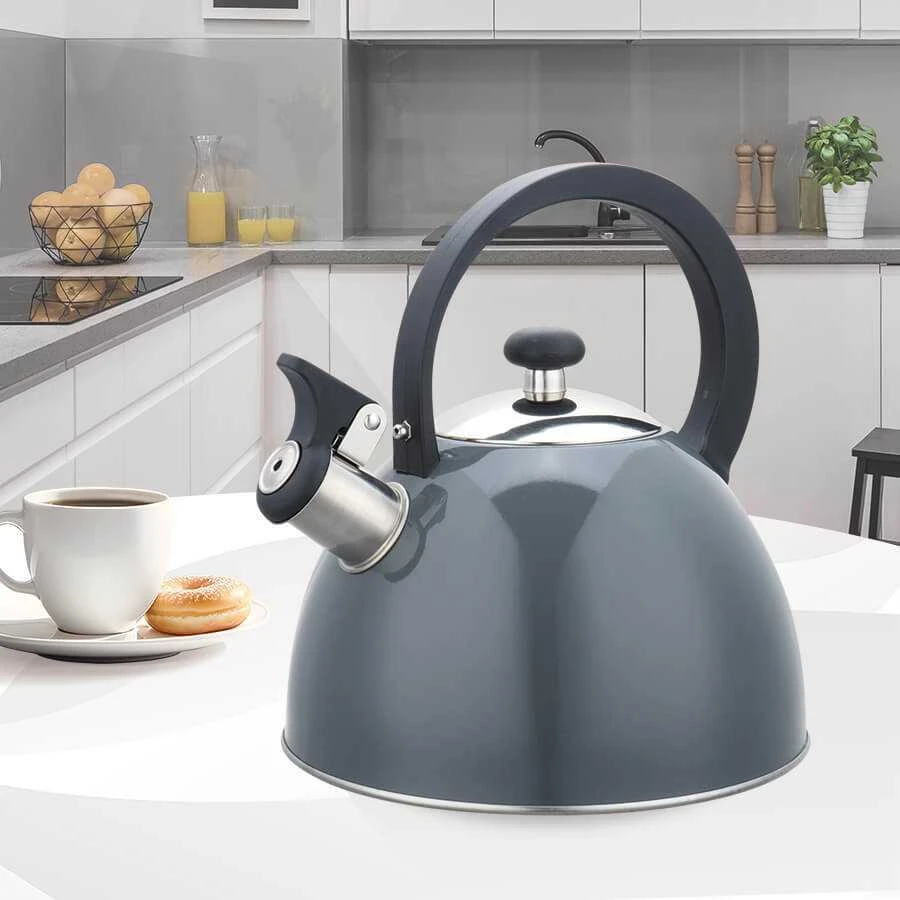 Maestro MR-1302-Pilkas virdulys 2.5 L Pilkas