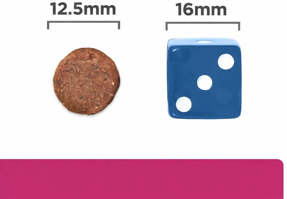 Sausas Šunų Maistas - Hill's PD Gastrointestinal Biome - 10 kg