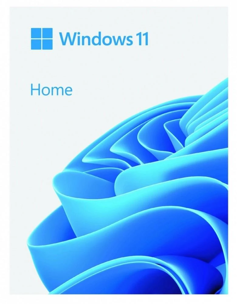 Operacinės sistemos Microsoft Windows 11 Home, 64Bit, USB atmintinė