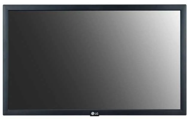 LG Monitorius 22 cale 22sm3g 250cd/m2 16/7