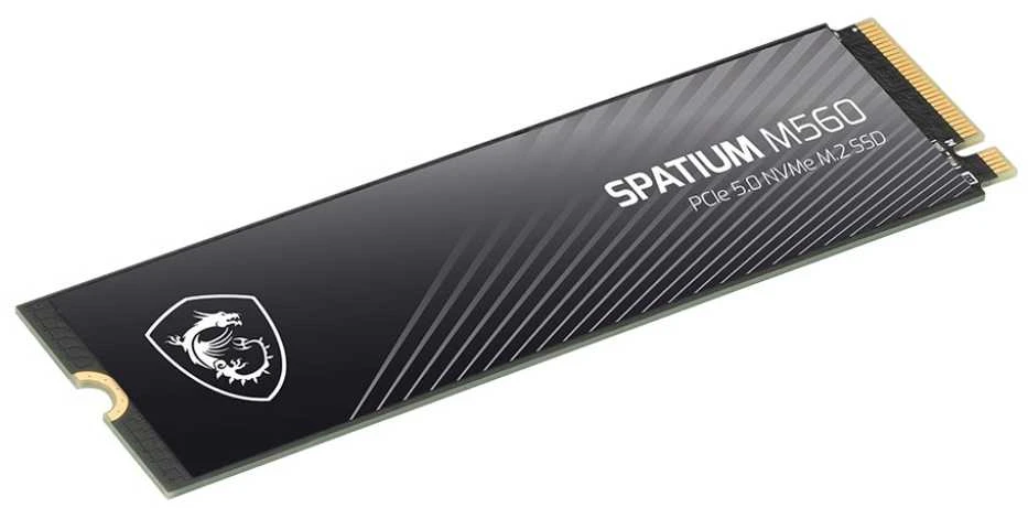 SSD kietasis diskas MSI SPATIUM M560, 2 TB PCIe Gen5 x4 M.2 2280