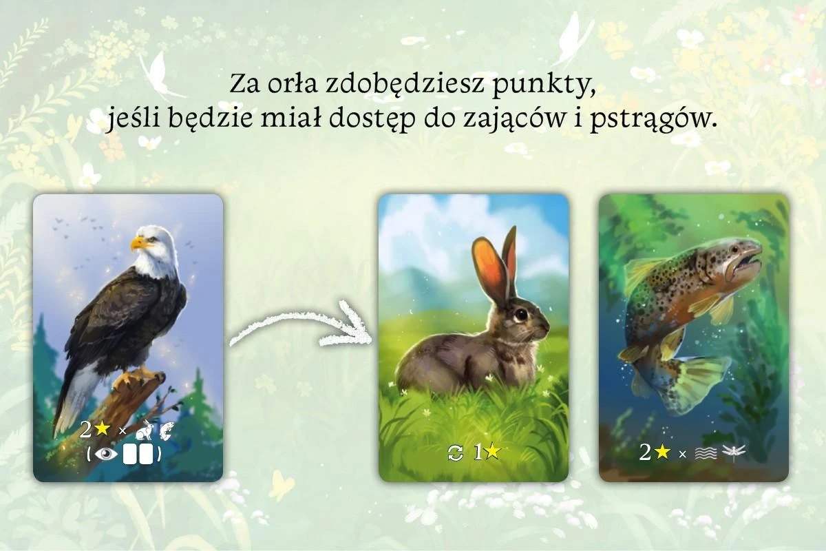 Stalo žaidimas Ekosistema. Naujas leidimas Nasza Księgarnia, PL