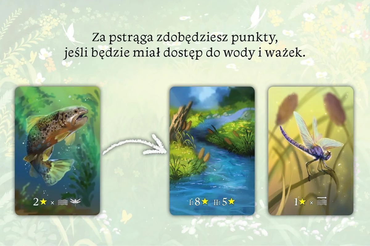 Stalo žaidimas Ekosistema. Naujas leidimas Nasza Księgarnia, PL
