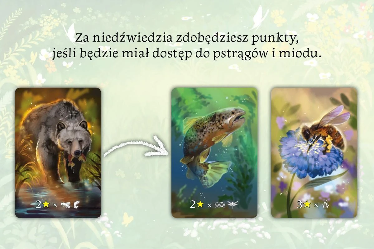 Stalo žaidimas Ekosistema. Naujas leidimas Nasza Księgarnia, PL