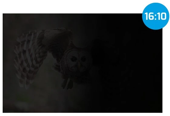 „Natec Owl“ 14' 16:10 (302 x 189 mm)