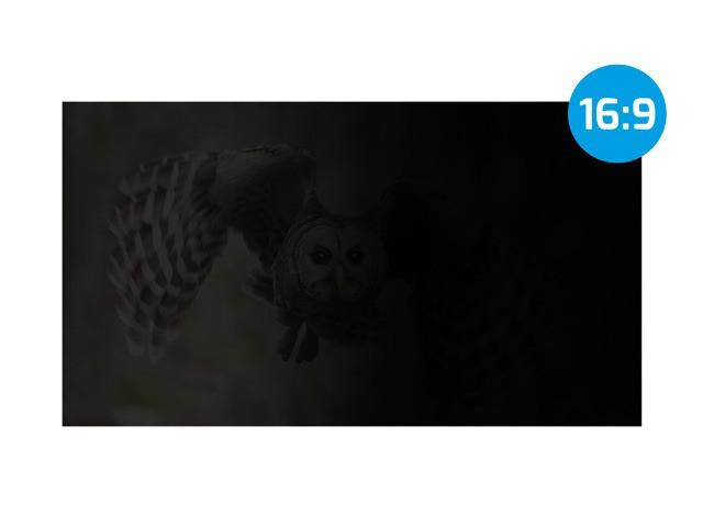 NATEC NFP-1476 privatumo filtras RODO OWL 21.5 colio 16:9