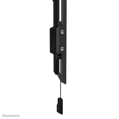 Laikiklis NEOMOUNTS BY NEWSTAR SCREEN WALL MOUNT (FIXED, ULTRA THIN, VESA 800X400)