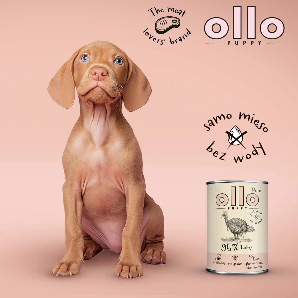 OLLO Puppy Pure kalakutiena - wet dog food - 850 g
