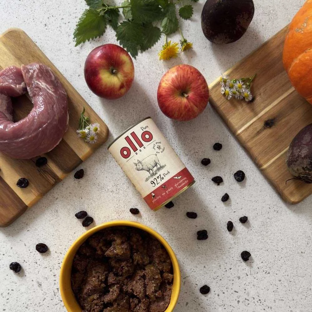 OLLO Pure Pork – drėgnas ėdalas šunims – 850g