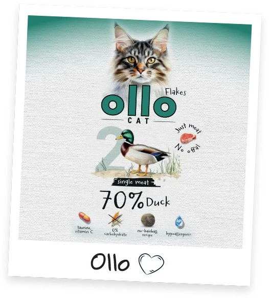 OLLO Katė Nr. 2 antiena Mono - šlapias kačių maistas - 85 g