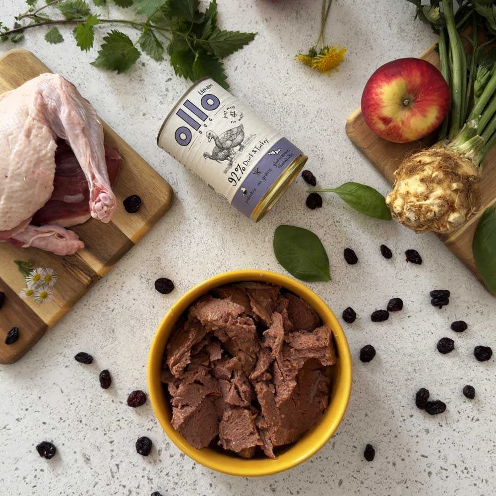 OLLO Umami antiena and kalakutiena – drėgnas ėdalas šunims – 850g