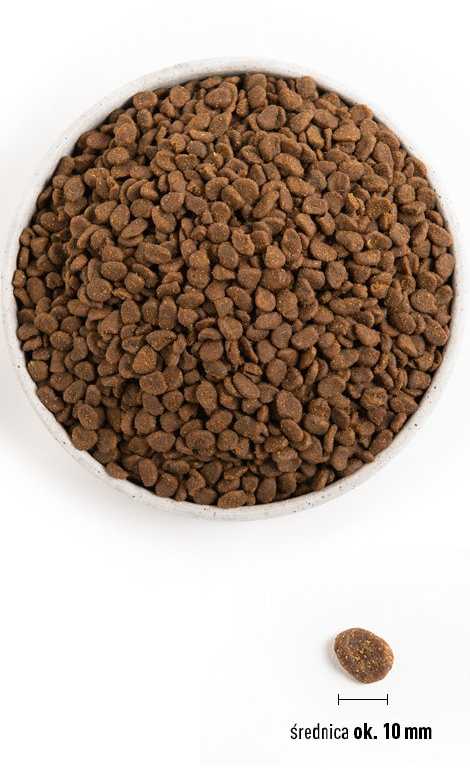 ORIJEN Cat 6 žuvis 5,4kg