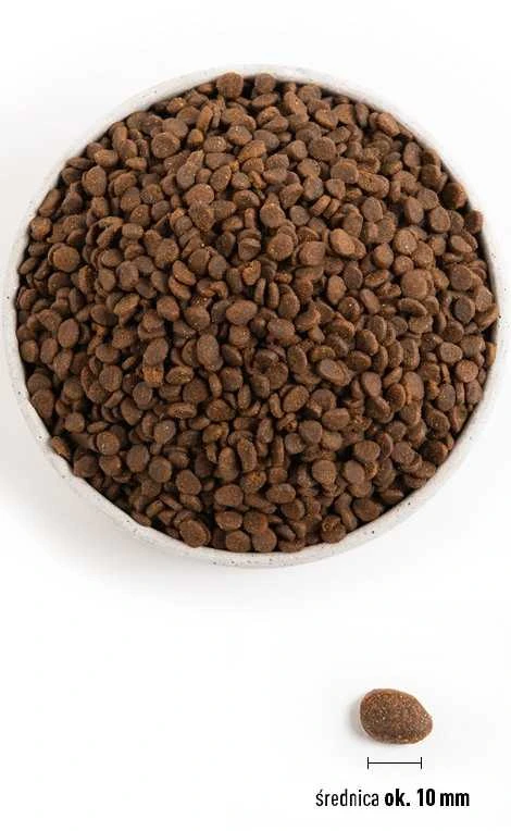 ORIJEN Regional Raudona Cat - sausas kačių ėdalas - 340 g