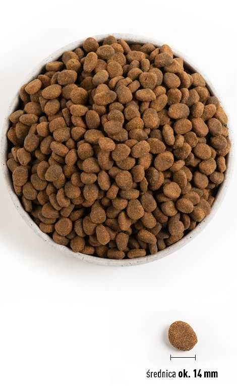ORIJEN Dog Regional Raudona 11,4kg