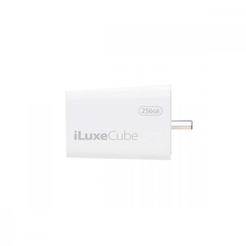 Patriot iLuxe Cube C 256 GB , USB-Stick