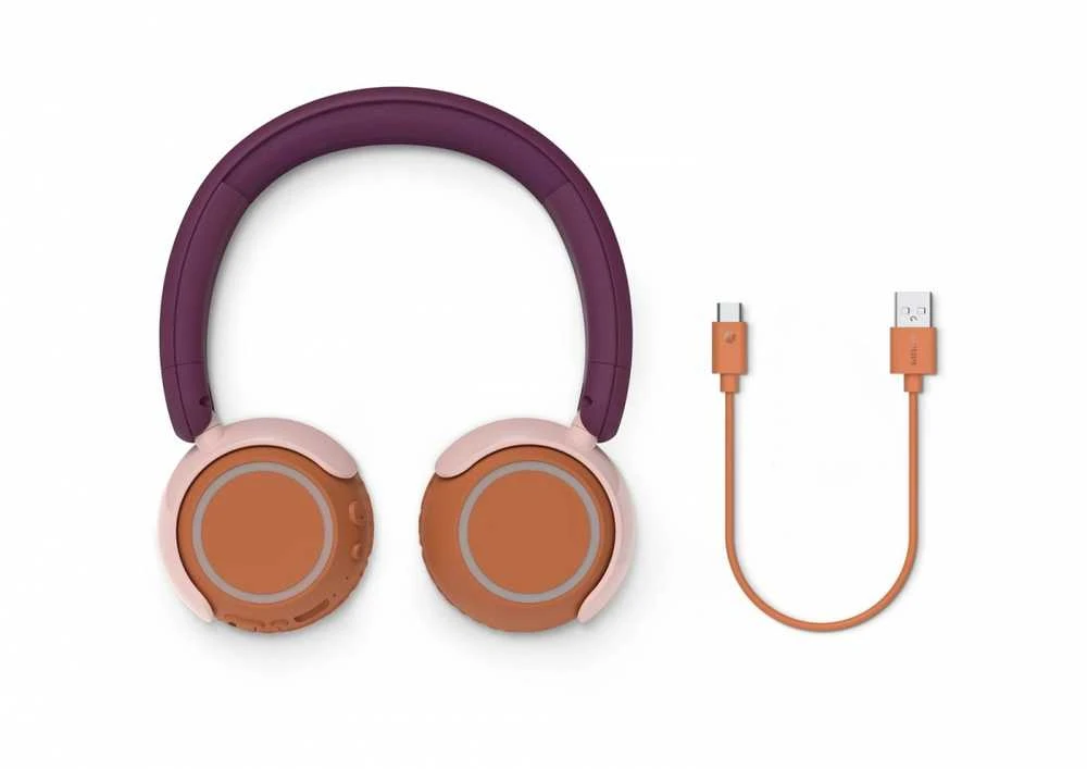 AUSINĖS BELAIDĖS TAK4200MP/00 PHILIPS