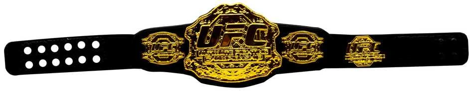 Pmi Kids World Pmi vaikų pasaulio UFC aštuonkampių kovotojų 1 sezono legendinės kovos – Jonesas prieš Gustafssoną