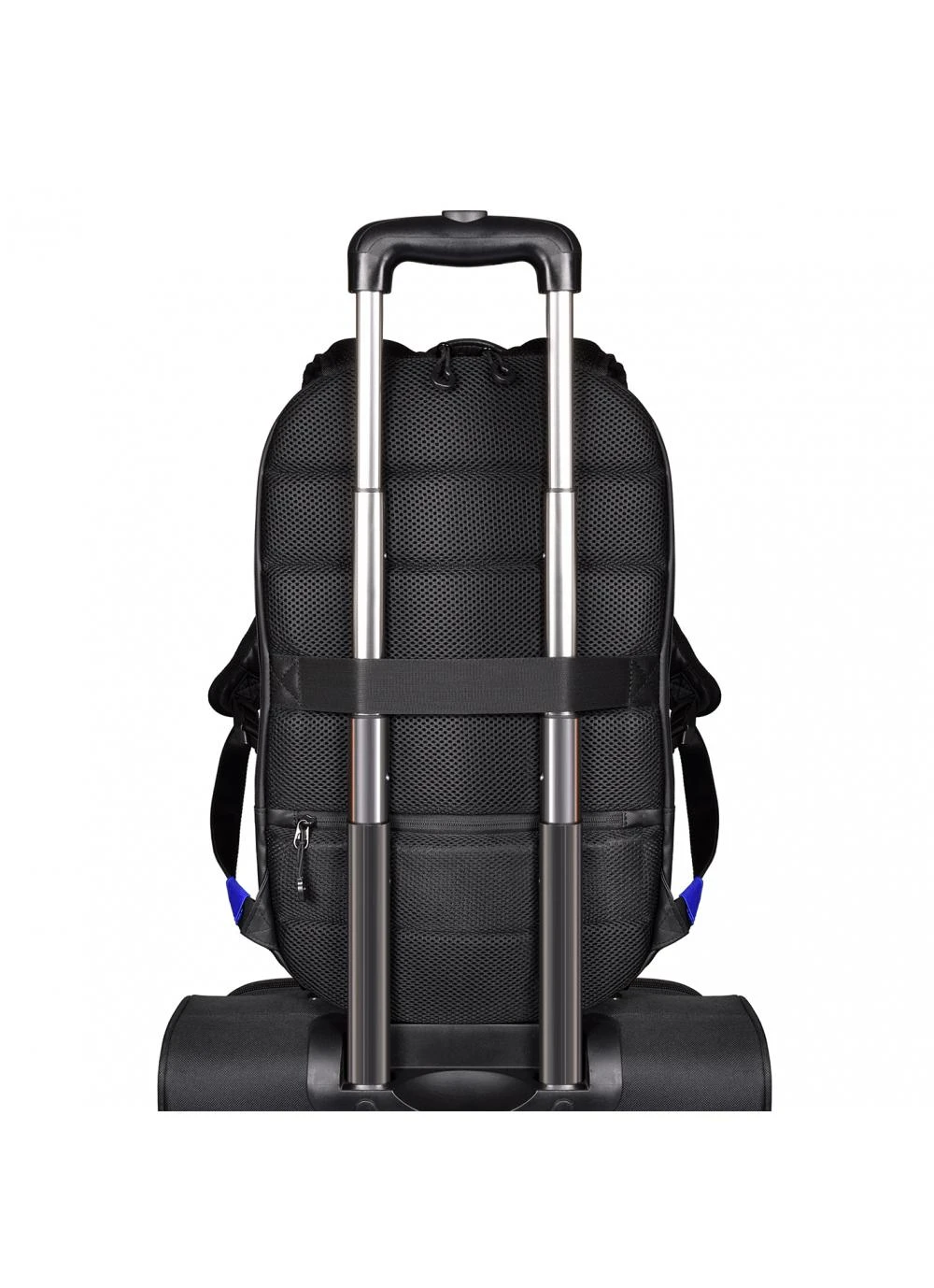 PORT DESIGNS | Nešiojamas kompiuteris Backpack | SAN FRANCISCO | Backpack | Shoulder strap | Pilkas