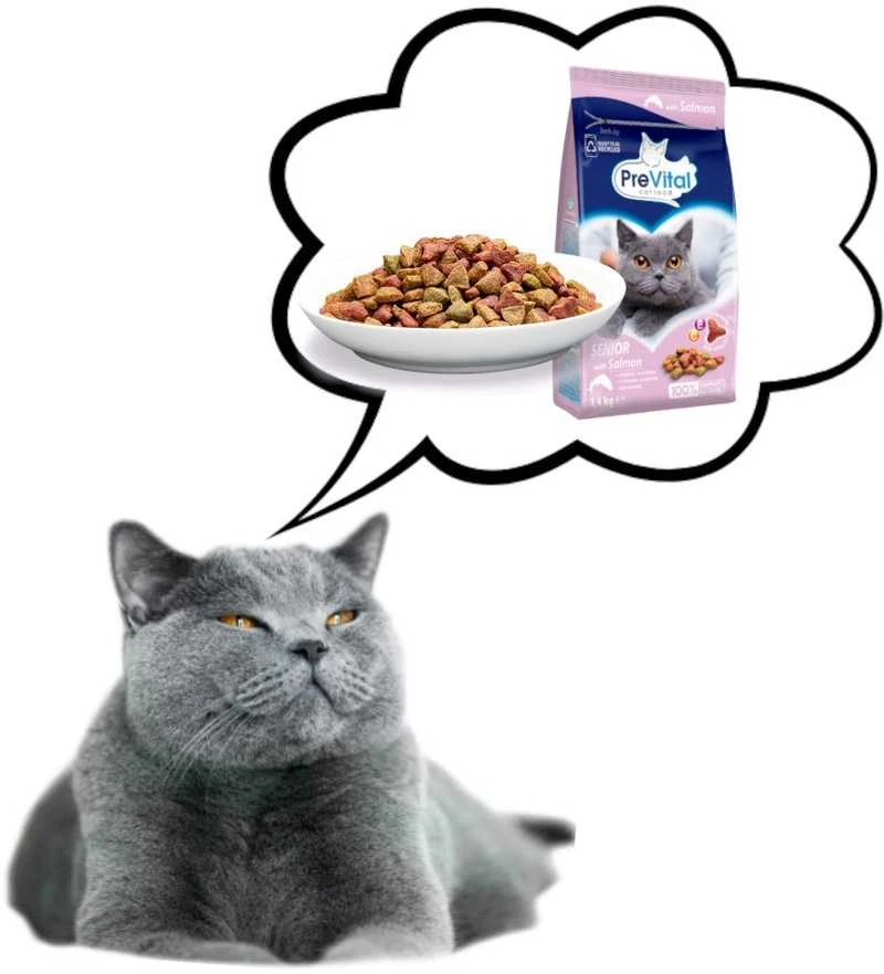 Kačių Maistas - PREVITAL Senior Lašišos Sausas 1.4kg