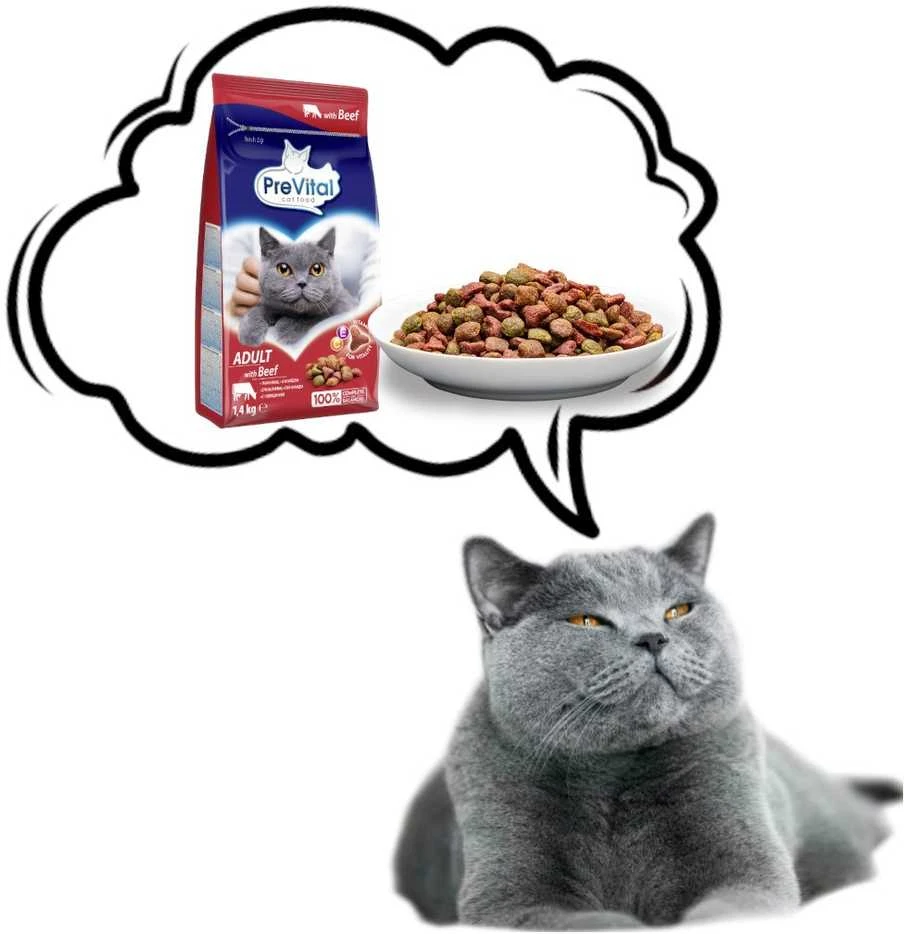 Kačių maistas - PREVITAL Suaugusiųjų Jautienos Sausas Maistas 1.4kg