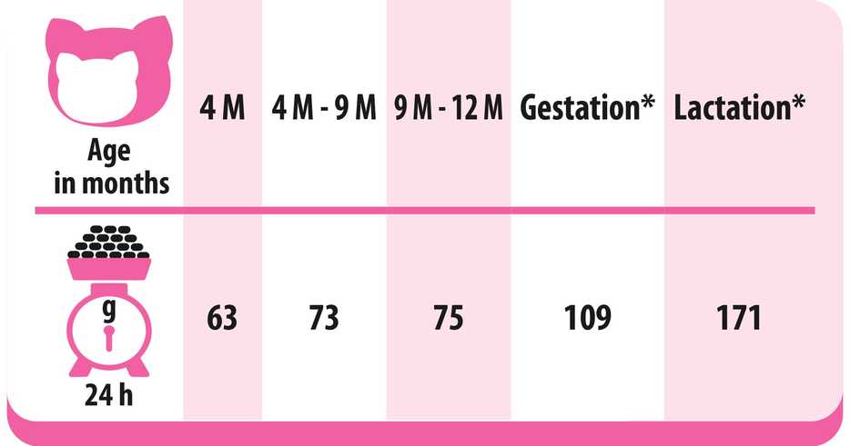 Kačių maistas - PREVITAL Junior Vištienos Sausas 950g