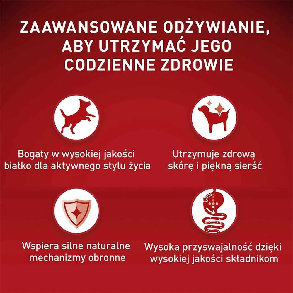Purina Nestle Šunų Maistas - Purina One Mini Suaugusiųjų Jautiena Ir Ryžiai 800g