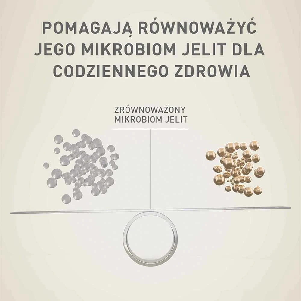 Purina Nestle Sausas Šunų Maistas - Purina One Mini/Small Sensitive Lašiša, Ryžiai