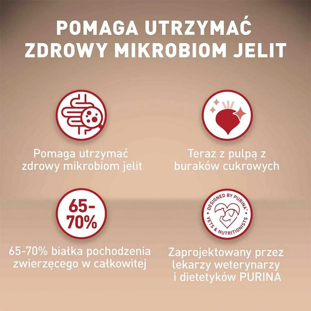 Purina Nestle Sausas Šunų Maistas - Purina One Mini/Small Sensitive Lašiša, Ryžiai