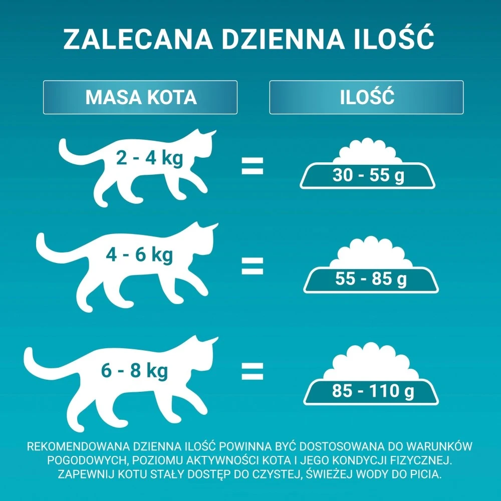 Purina Nestle One Bifensis Sensitive Rich in kalakutiena – sausas kačių maistas – 750g