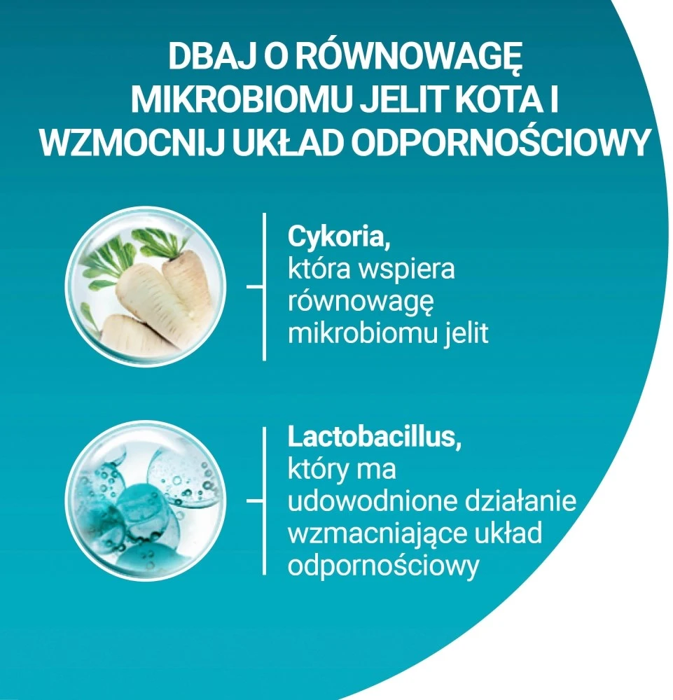 Purina Nestle One Bifensis Sensitive Rich in kalakutiena – sausas kačių maistas – 750g