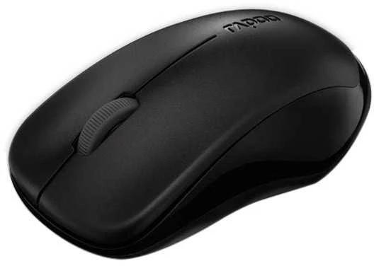 RAPOO Wireless Entry level 3 mygtukai Pelė 1620