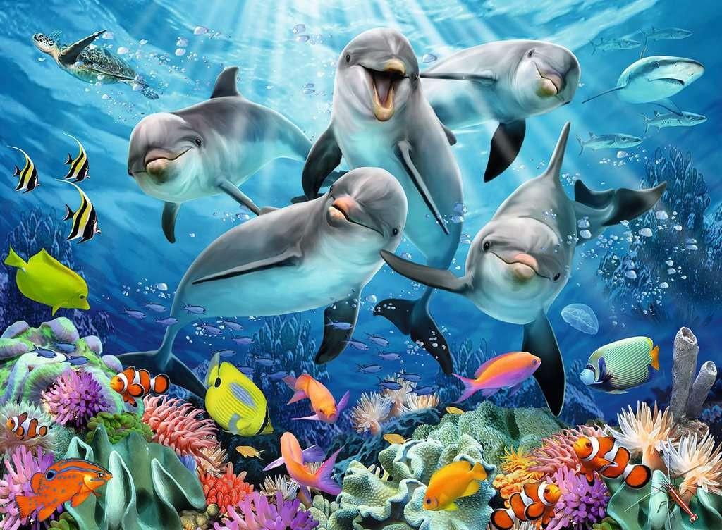 Ravensburger Dėlionė 500 vnt. - Delfinai aprašymas - Prekės nuotrauka