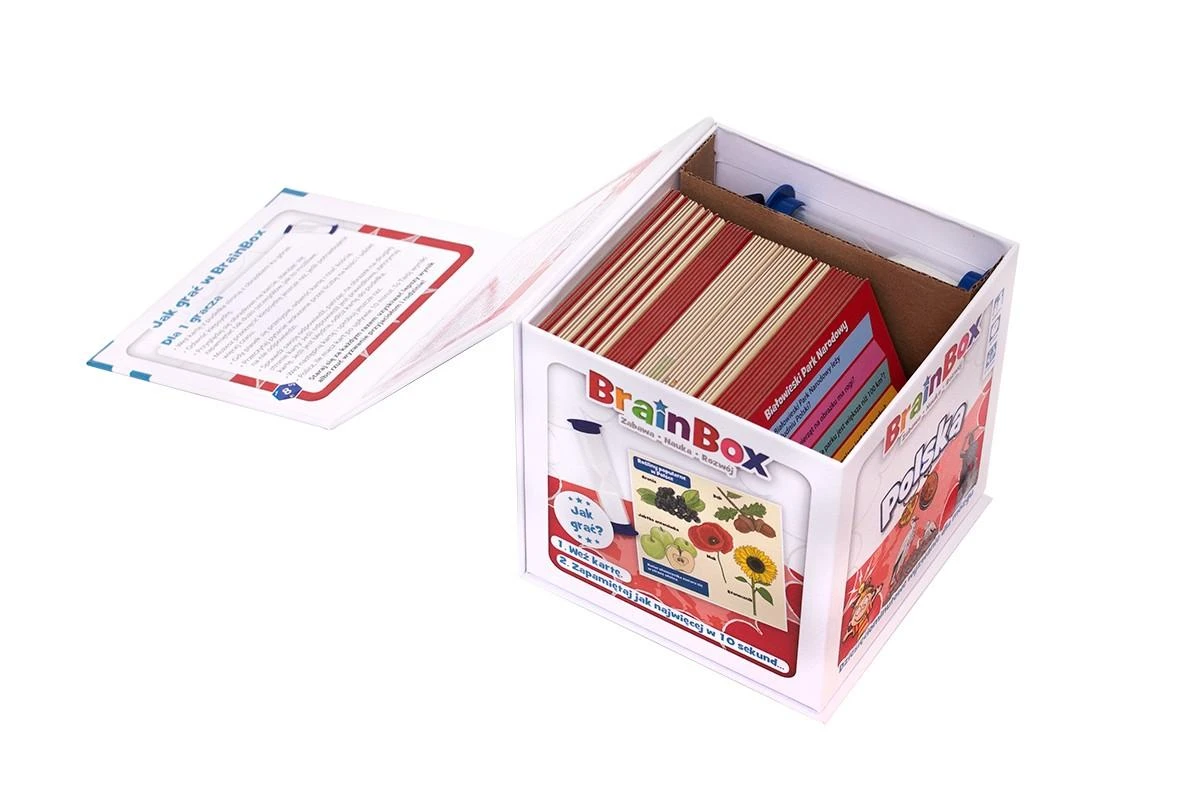 Stalo žaidimas BrainBox Lietuva antra leidimas Rebel