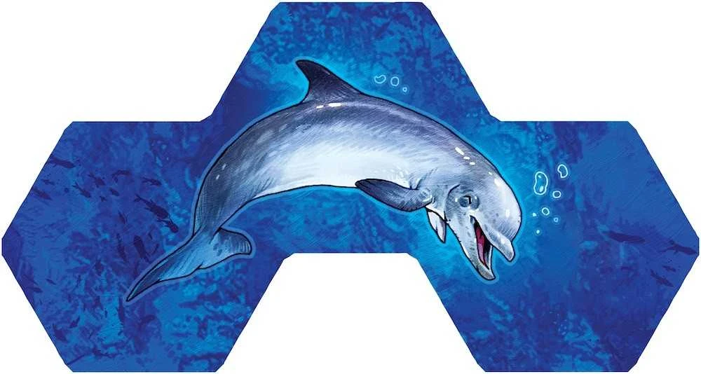 Rebel Aqua žaidimas (lenkiškas leidimas)