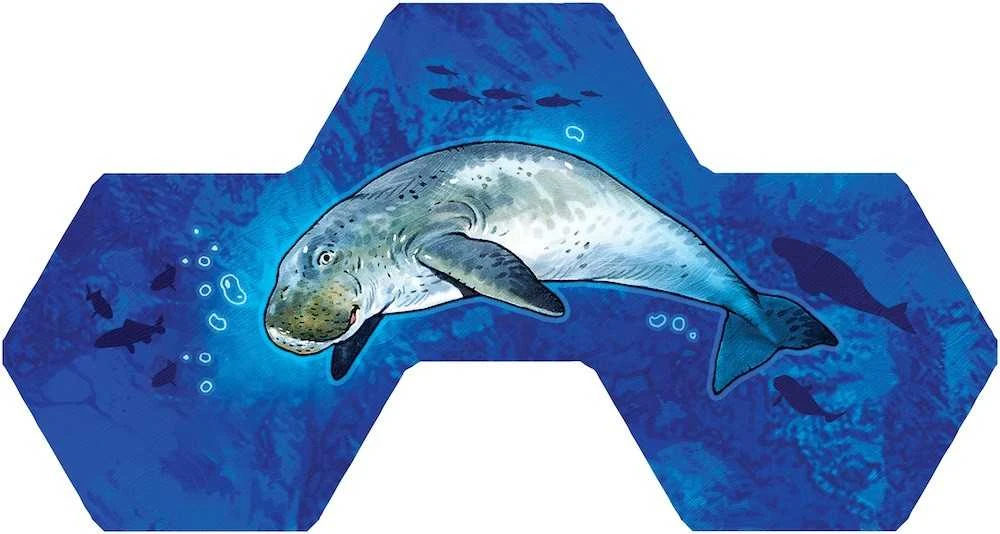 Rebel Aqua žaidimas (lenkiškas leidimas)