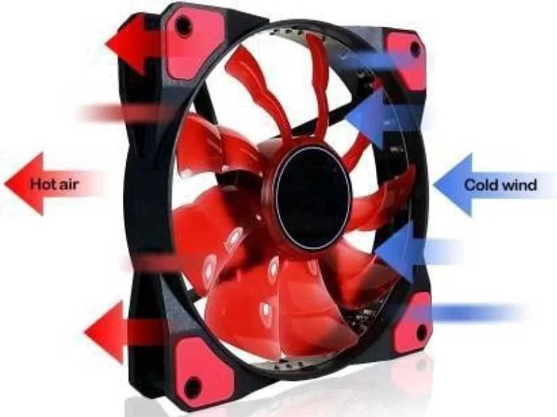 Rebeltec RAPTOR 800W