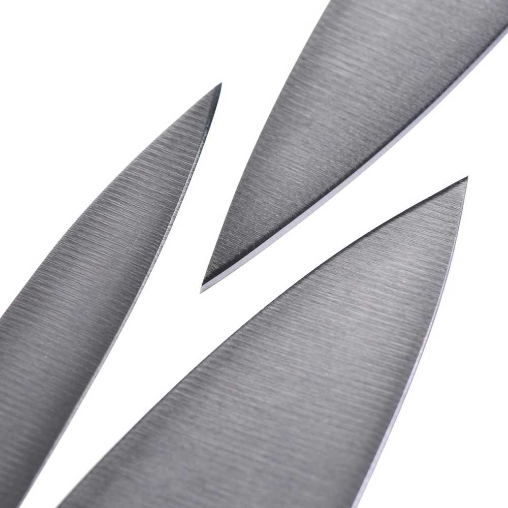 2 „Zwilling“ gurmaniškų peilių rinkinys 36130-005-0