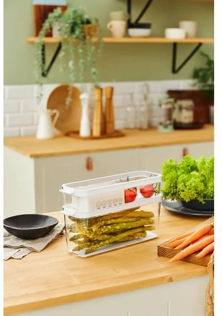 ROTHO CAUMA Šaldytuvas Organizer 1.15 L